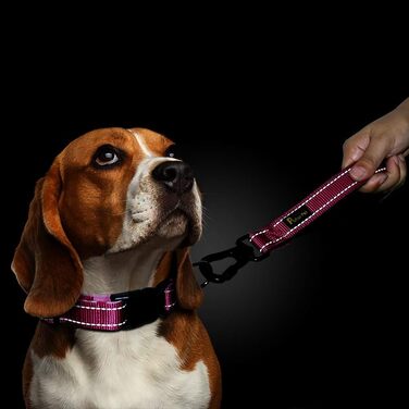PLUTUS PET короткий повідок для великих собак 25,4 см, рожевий, з міцним карабіном і м'якою ручкою