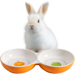 Набори мисок для тварин Navaris: для кошенят, морських свинок, кроликів - 2 шт. Кераміка, зелений/помаранчевий