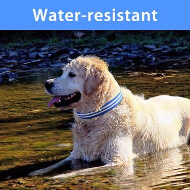 Світлодіодне нашийник для собак Leuchthalsband PcEoTllar, акумуляторний, 3 режими світіння, водонепроникний, синій, регульований, для малих, середніх та великих собак