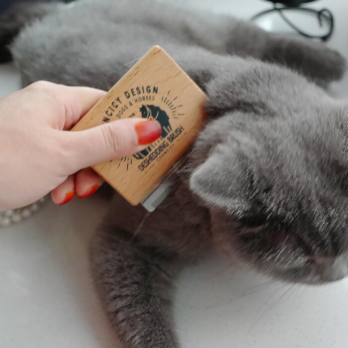Щітка для собак з дерев'яною ручкою, для котів, видалення підшерстка, жовта, Small