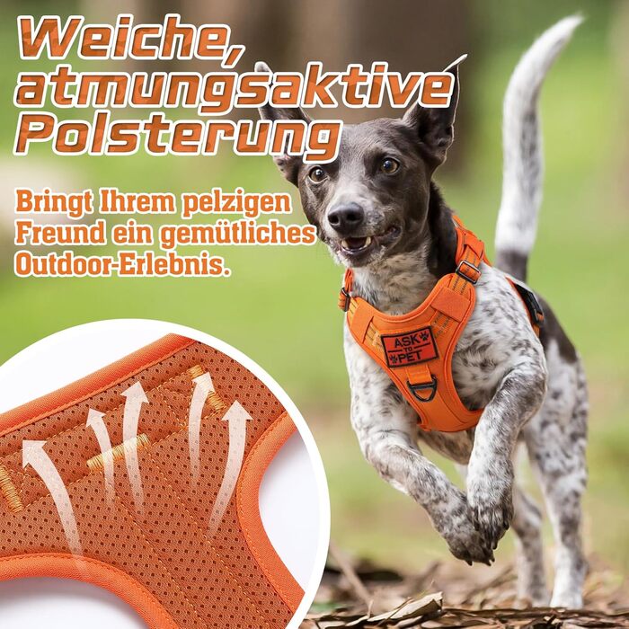 Нашийник для собак Rabbitgoo середнього розміру, анти-тяга, регульований з ручкою, міцний, тактичний, з металевими пряжками, для прогулянок (M, Оранжевий)