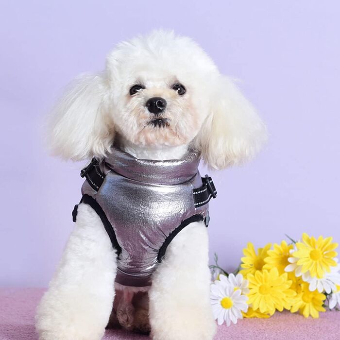 2-в-1 теплий зимовий одяг для собак, куртка-жилет для маленьких собак, розмір S (1.3-2.6 кг), сріблястий