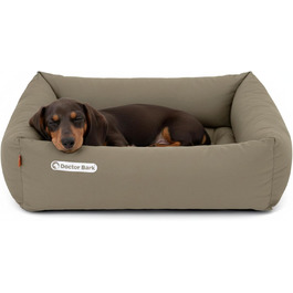 колір: золаброун