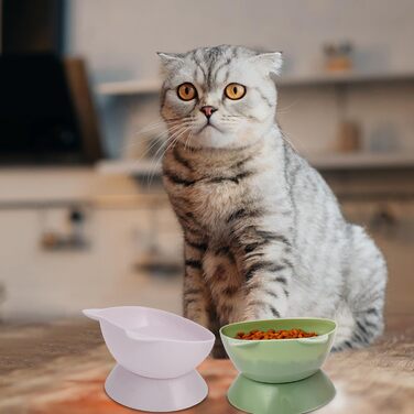 Миски для котів Umorismo 3 шт. Підвищені, нахилені, пластикові - годівниця для котів, кошенят, сухий та вологий корм