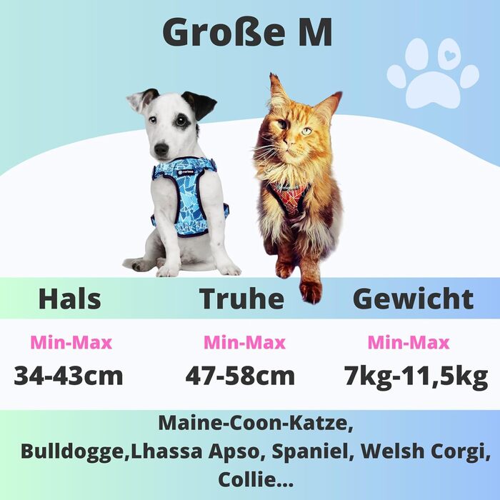 Шлея для малих і середніх собак та кошенят Maine Coon, антидрайвова, регульована, м'яка, дихаюча, у подарунковій коробці, синя, розмір M (7-11,5 кг)