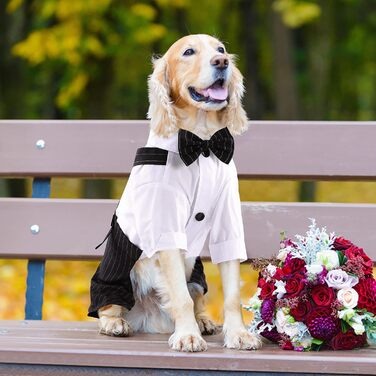 Смугастий костюм для собак ASENKU: смокінг з метеликом, формальний набір для свят, дня народження, чорний, XL-XXL