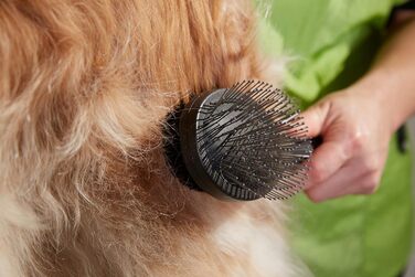 Ножиці для стрижки собак та котів Andis 6.5' Thinning Shears, професійні, правша, (80645)