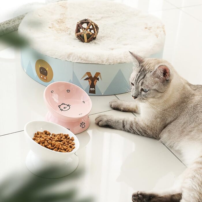 Підвищені миски для котів з кераміки, нахилені миски для корму та води, захист хребта, 140 мл, запобігання зворотному потоку (білі)