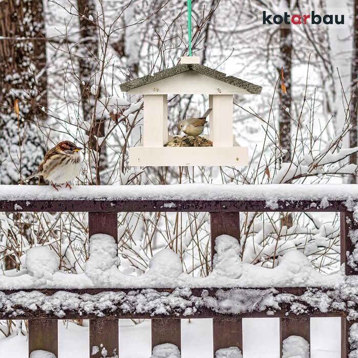 Дерев'яний годівничка для птахів KOTARBAU® з безкоштовним кормом 0,5 кг