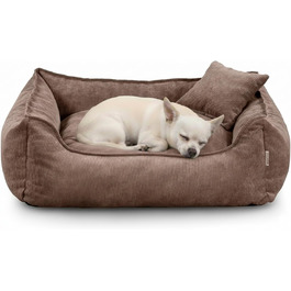 розмір: xs - 55x40