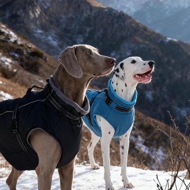 Зимовий теплий одяг для собак середнього розміру PUMYPOREITY: куртка з інтегрованою мискою, флісова, відбиваючі елементи, синій