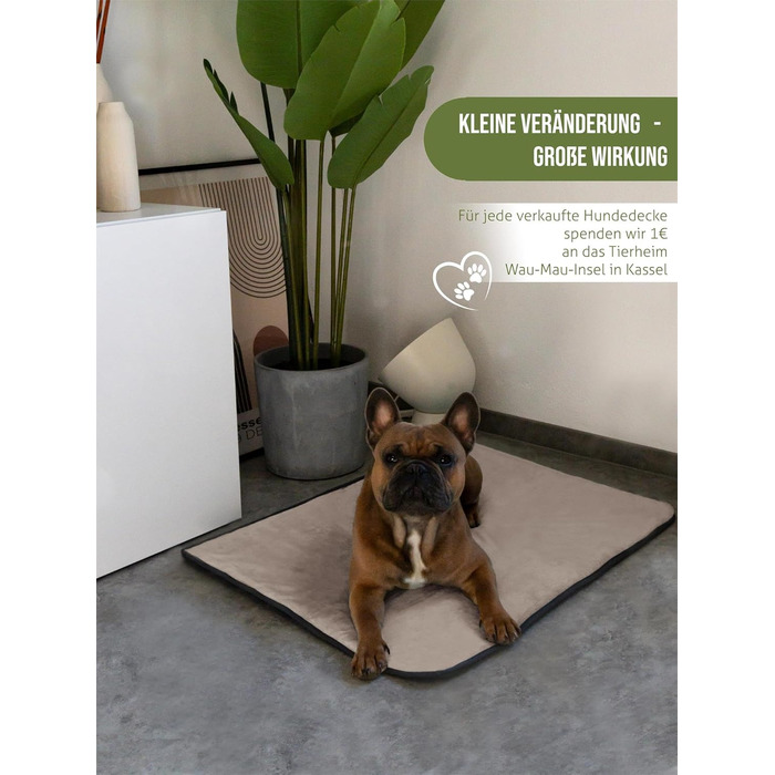 М'яка підстилка для собак Normani - підстилка для тварин з безпечного матеріалу, 40x50 см, 60x80 см, 70x100 см, бежева