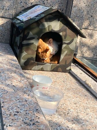 MUYYIKA Будинок для котів на вулицю, зимостійкий, водонепроникний, для тварин, 33 x 30 x 35 см, камуфляж