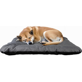 Гіркий корзинка для собак Kistenkolli Altes Land Winston XL з дерева 100x60x25 см з подушкою (сіра)