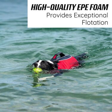 Оптимізована жилет для плавання собак Osprey, регульована, з ручкою, світловідбиваючі смуги, для малих, середніх та великих собак - жилет для безпечного плавання, XS