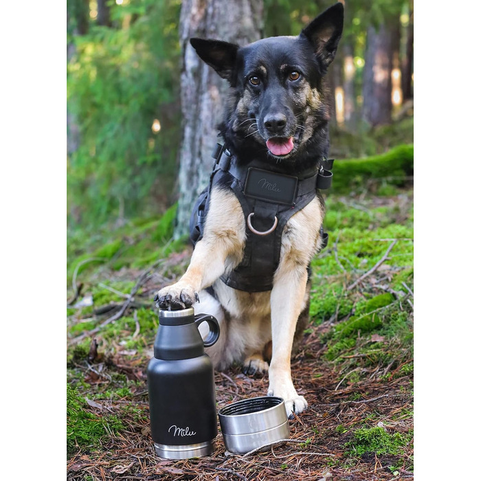 Водяна пляшка для собак Milu 950 мл з мискою для корму - ізольована сталева пляшка для собак, чорна