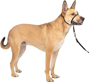 PetSafe Sanfter Führer: Нашийник-тренер з DVD (чорний, Medium)