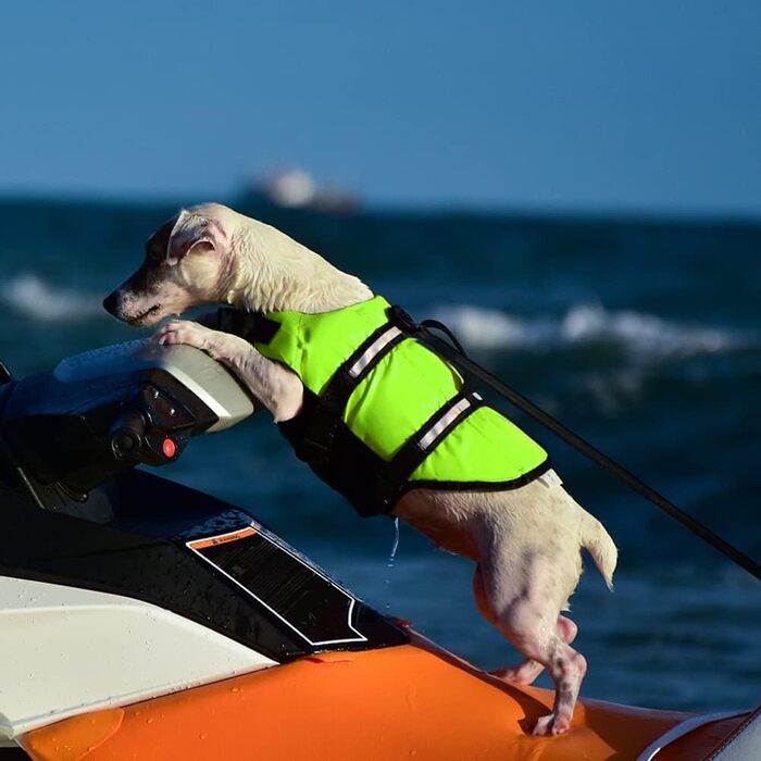 Жилет рятувальний для собак FainFun, розмір L, зелений: комфорт та безпека у воді