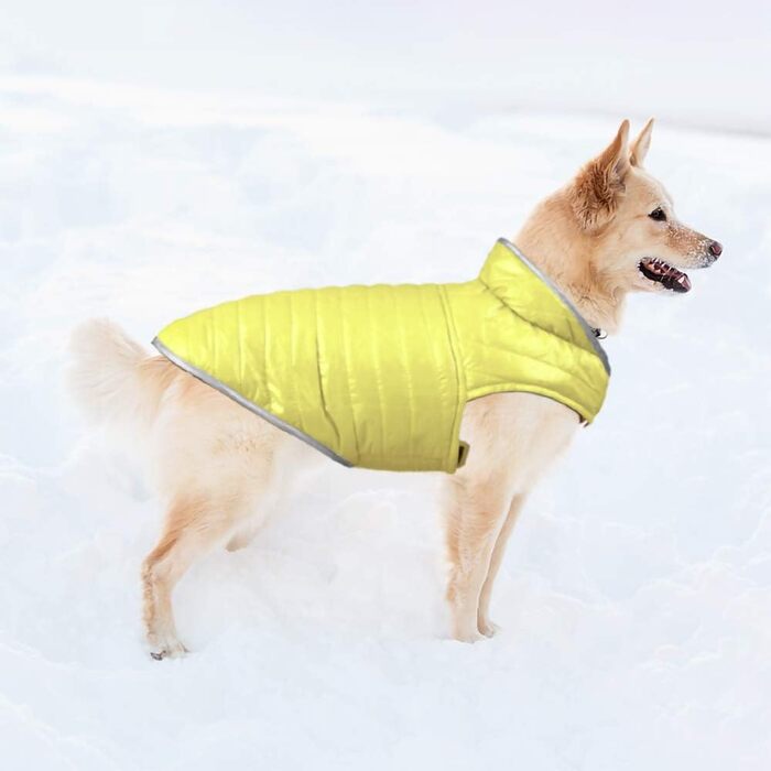 Зимова куртка для собак - тепла безрукавка з водонепроникним покриттям та світловідбиваючими елементами. Ідеальна для осені та зими. Кольори: блакитний + жовтий