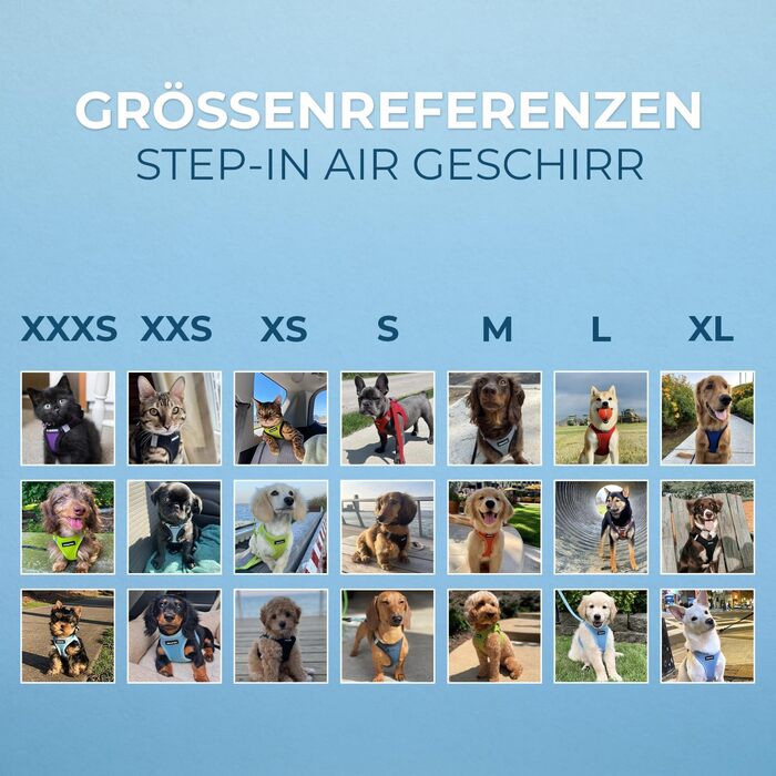 Шлея для собак Voyager Step-In Air, Best Pet Supplies, сіточка, всепогодна, для малих і середніх порід, чорна, розмір S (груди 37-40 см)