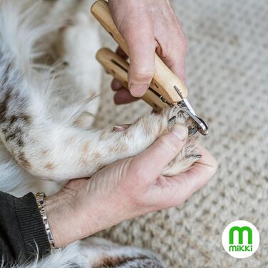 Ножиці для грумінгу собак та котів Mikki з бамбуковим покриттям, з запобіжником, мікрозубчасті леза