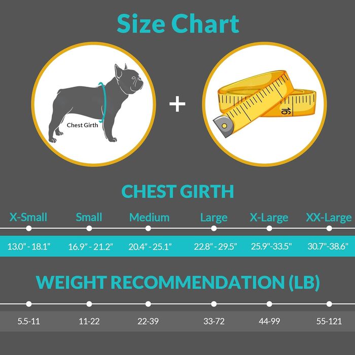 Жилет для плавання для собак Queenmore, регульований, висока видимість, рятувальний жилет, для собак XX-Large (Hot Pink, XXL)