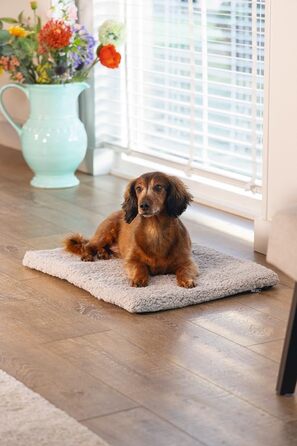 Крісло-гніздо для собак Beeztees Ito, ортопедичне, сірого кольору, 62x44x4 см