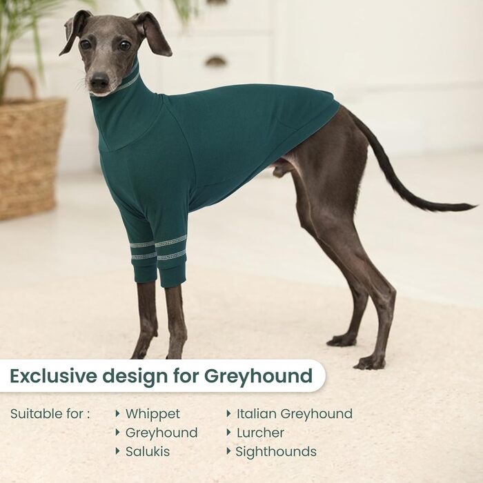 Светр для грейхаунда, італійського віндхаунда та віппета. Теплий светр з високим коміром для собак маленьких порід (зелений, L)