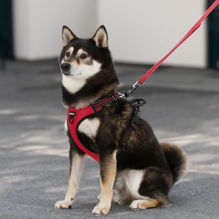 Регульована шлейка для собак Voyager Von Best Pet Supplies з 3M-рефлектором, подвійне кріплення, проти ривків, червона