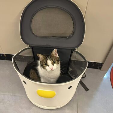 Рюкзак для домашніх тварин: переноска для собак та котів вагою до 15 кг