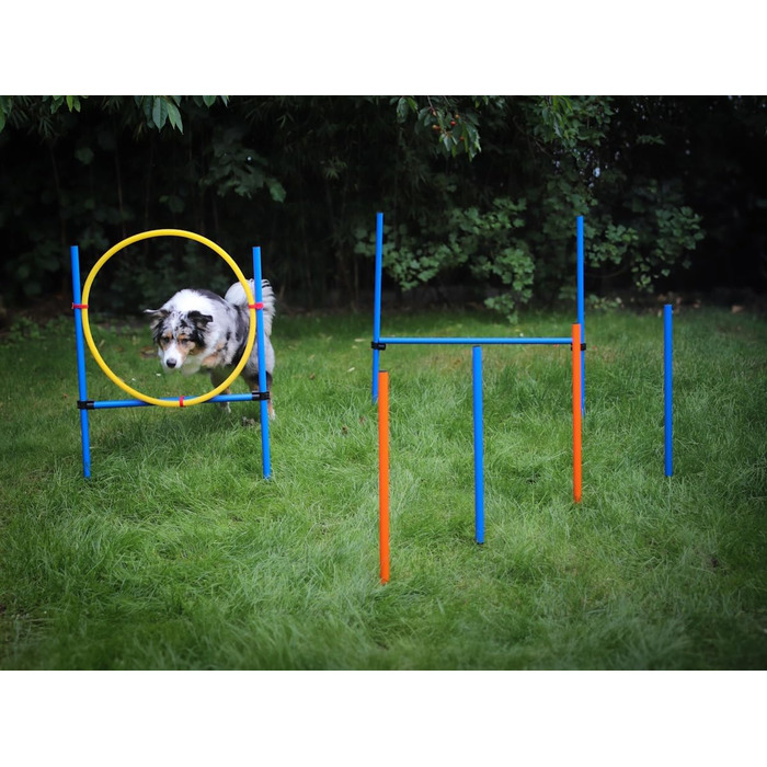 Набір для аджиліті NATIV LEMODO для собак | Тренування собак з бар'єрами та стрибковим кільцем | Легкий у транспортуванні аксесуар для тренувань | Початковий набір у собачий спорт без тунелю
