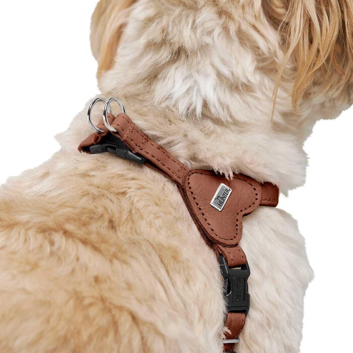 Нашийник для собак HUNTER SOHO MINI, колір: коричневий (cognac), з натуральної шкіри, м'який, не травмує шерсть, легкий, для маленьких собак та цуценят, Made in Germany, розмір XXS-XS/2