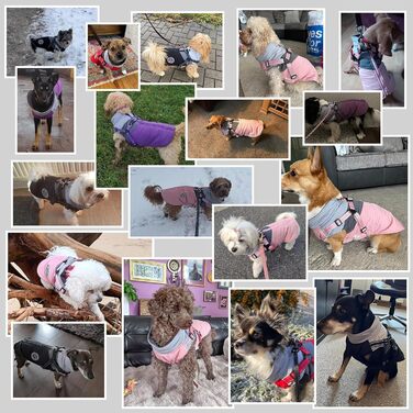 Водонепроникний зимовий теплий дощовик для собак Savlot - вітронепроникна куртка для маленьких та середніх собак з нашийником, світловідбиваючі елементи (чорний + сірий)