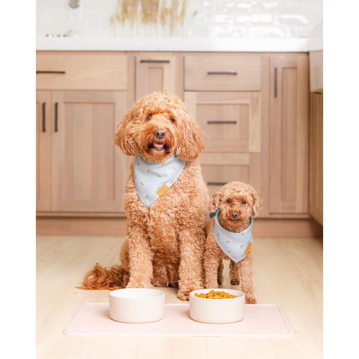 Килимок для годування собак та котів Remy+Roo | Силіконовий, 100% водонепроникний, неслизький, для миття в посудомийній машині