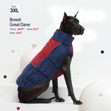 Зимові куртки та манто для собак IECOii: тепла, вітро- та водонепроникна модель, зелений, M (військово-зелений), блакитний