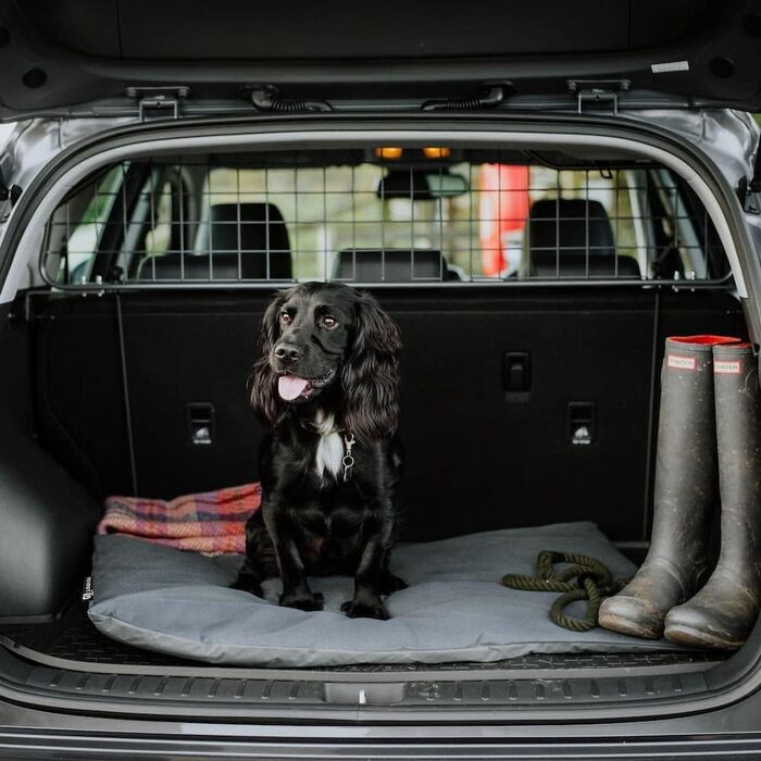 Килимок для собак District 70 Lodge, Темно-сірий, Розмір L