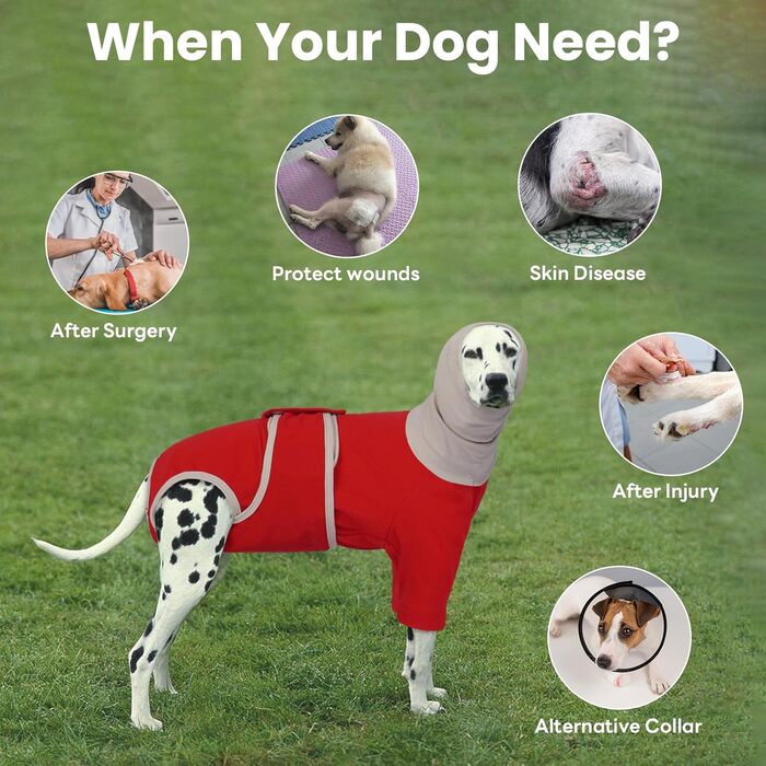 Теплий дощовик-худі для собак з капюшоном та захистом вух, 2 в 1, зелений (M, червоний)