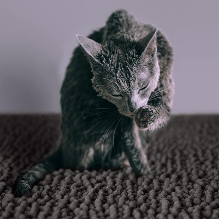 Килимок для котячого туалету CatGuru, розміри M, XL, XXL, водонепроникний, антиковзкий, можна прати, м'який, аксесуари для котів (XXL, темно-сірий, зносостійкий) XXL Темно-сірий