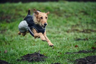 HUNTER Uppsala Extreme: зимовий непромокальний одяг для собак, чорний/сірий, 52-58/71-86 см