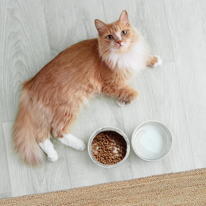 Набір мисок для собак та котів Fanquare з кераміки, сірий мармур, чорний металевий каркас, 400 мл