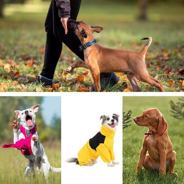 Зимовий теплий комбінезон для собак | Регульований костюм для собак середніх, маленьких та великих порід, для цуценят, для дому та прогулянок, XL