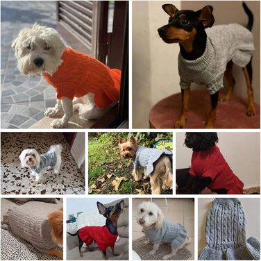 Пуловер для собак маленьких порід: теплий зимовий одяг для чихуахуа, йоркширського тер'єра та інших