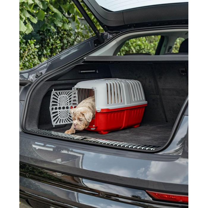 Транспортний бокс для собак Lionto з міцного переробленого пластику, 55x36x36 см, з практичним замком та ручкою, підходить для котів та дрібних тварин, для тварин до 15 кг, сірий