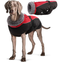 колір: гниль