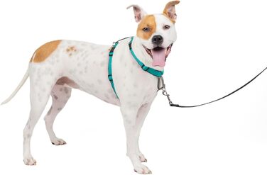 PetSafe 3-в-1 шлея для собак, анти-тяга, для авто, з відбивачами, ручкою, розмір M, чорна/синя/фіолетова