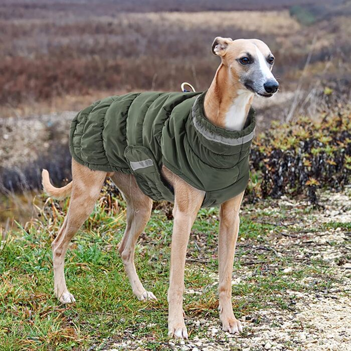 Легкий теплий дощовик для собак великих та середніх порід, нейлон, блакитний, 3XL