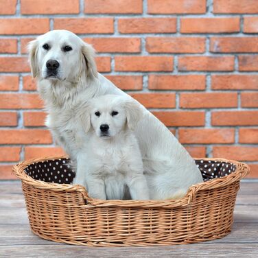 Корзина для собак з лози e-wicker24 502-60, брунатний колір, 60 x 43 x 19 см (80 x 60 x 26 см), натуральний дизайн