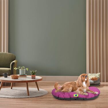 Крісло-лежанка для собак та котів Ferplast Relax, 65x42 см, бавовна, Ottanio (фіолетовий). Лежанка для собак, котів, в авто та будку.