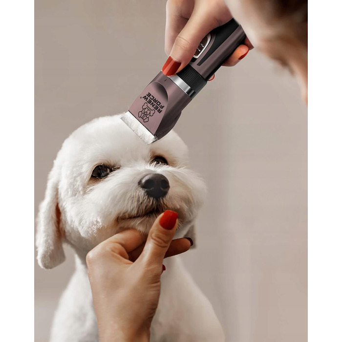 Професійна потужна та тиха машинка для стрижки собак, котів та інших домашніх тварин