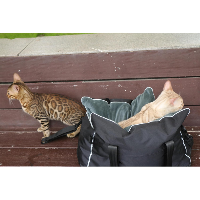 Автокрісло для собак та котів, середньорозмірне, знімний, миючий, з хутром, для цуценят, м'яке та тепле, S (Чорний, Маленький)